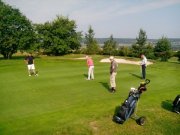 Petr team